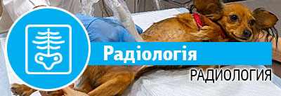 Радіологія Радіологія