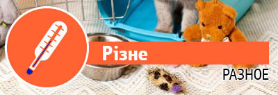 Різне Різне